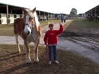 Ocala